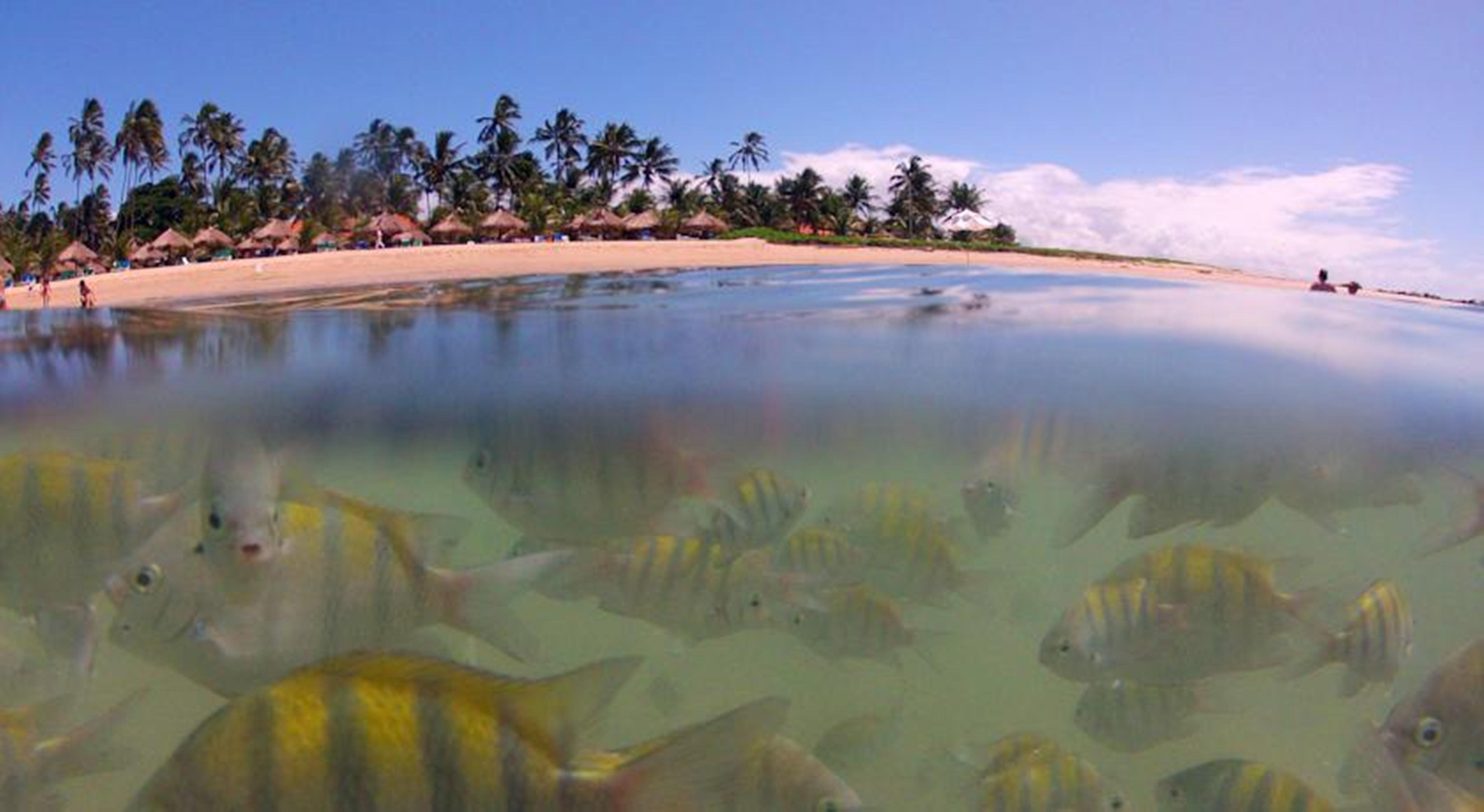 Serrambi Resort Pôrto das Galinhas Facilidades foto